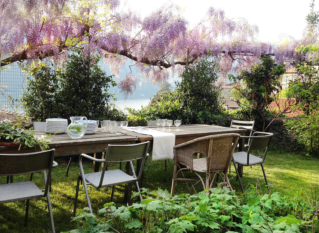 Geschirr auf Tischen im Garten unter rosa blühender Wisteria