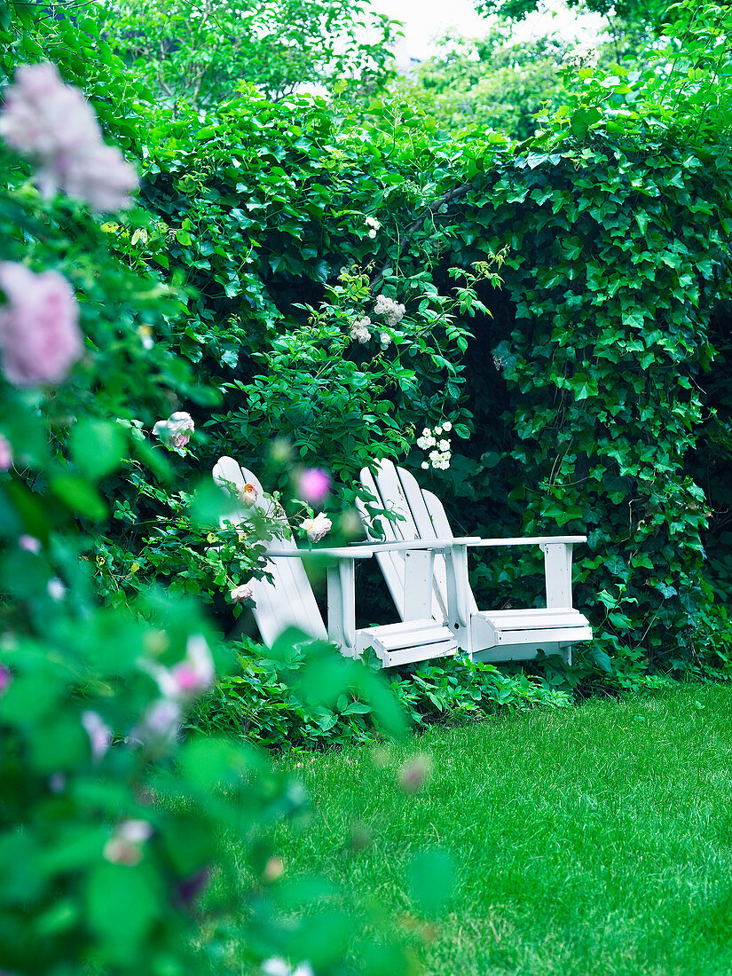 Hidden seating area amongst ivy and roses