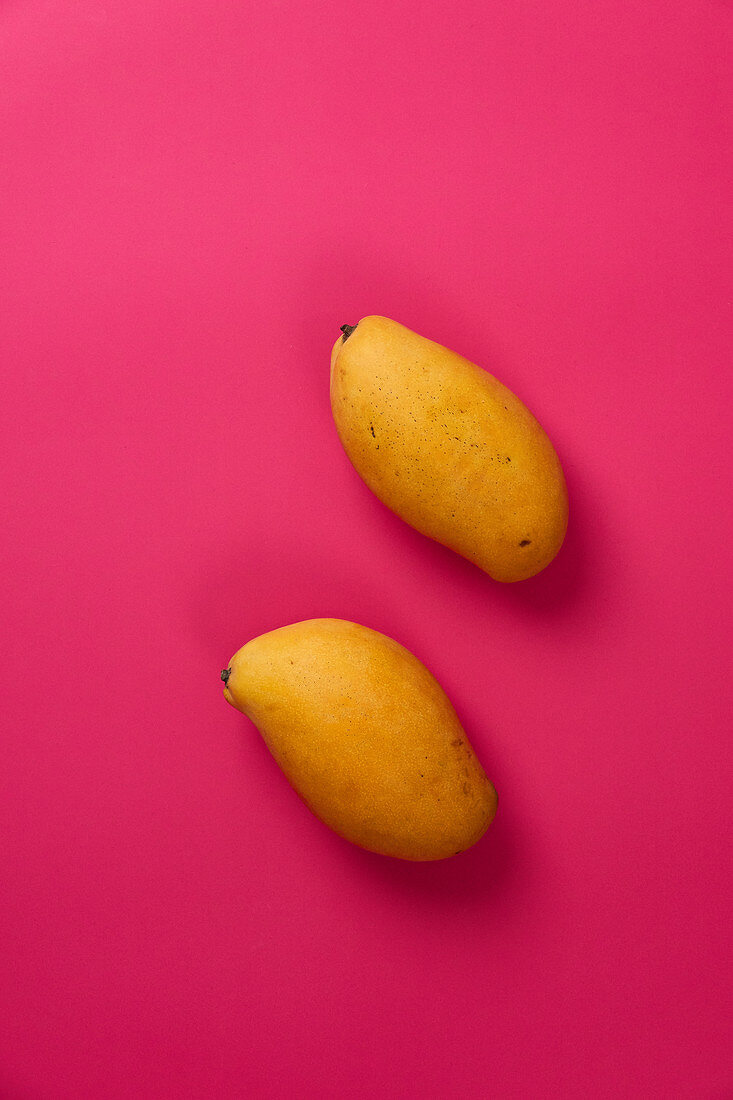 Zwei gelbe Mangos auf pinkfarbenem Untergrund