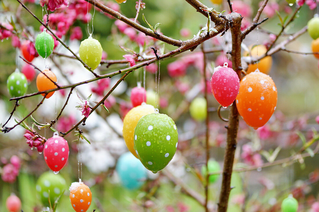 Ornamental peach tree decorated with Easter eggs