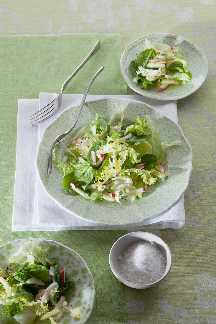 Grüner Salat mit Radieschen und Gurke