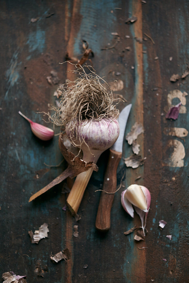 A bulb of garlic with a peeling knife on a vintage wooden surface