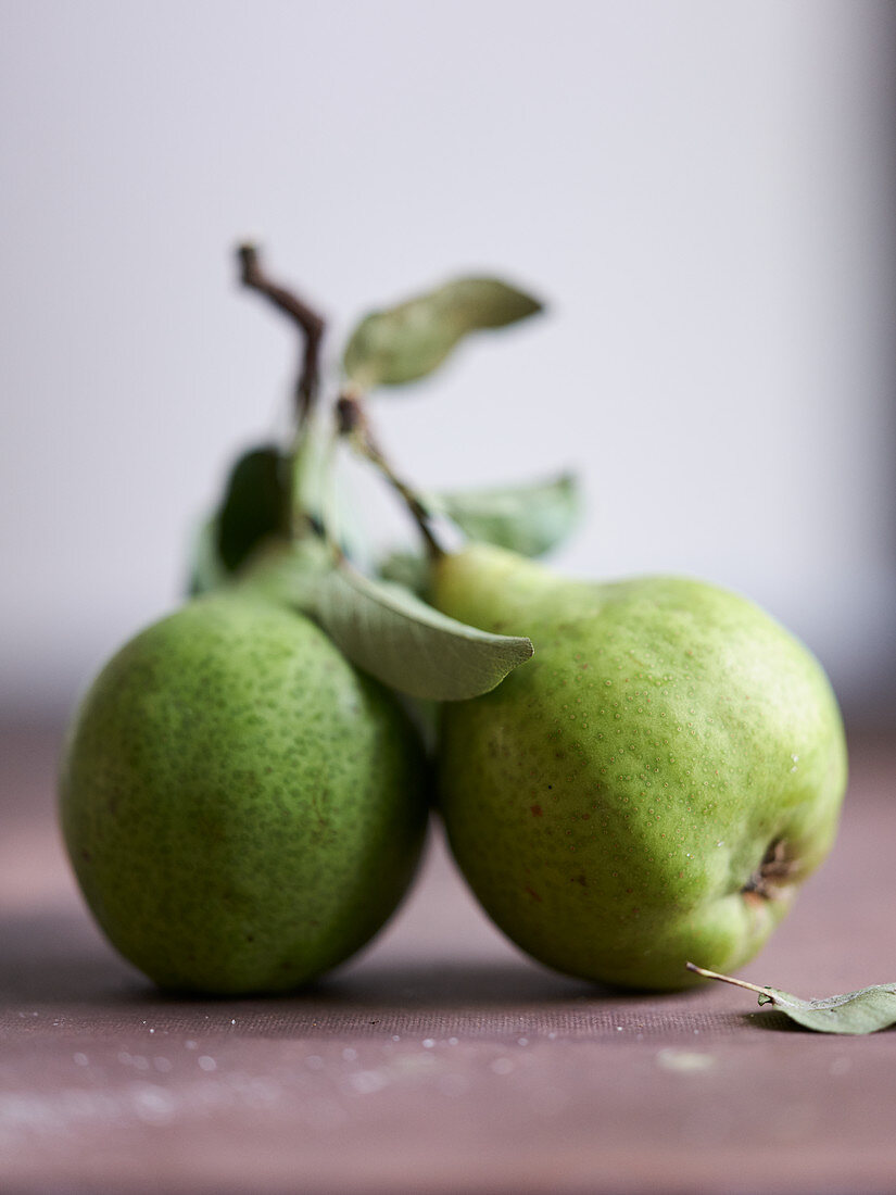 Two butter pears