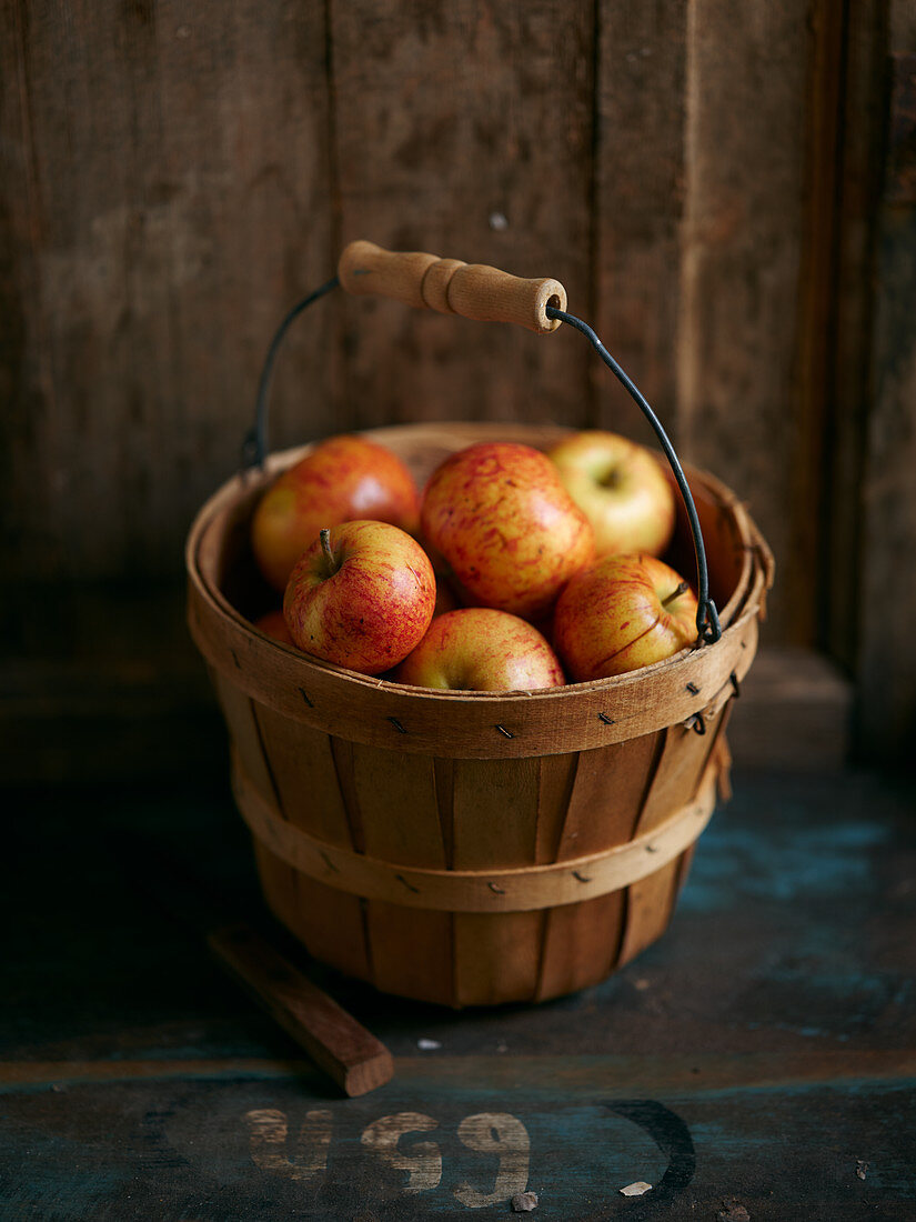 Frische Äpfel im Eimer