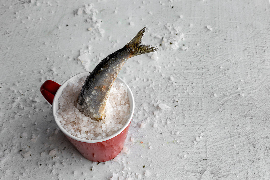 Savory tail of marine fish sticking out from cup full of salt