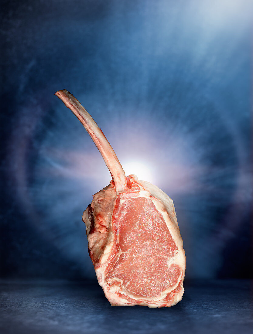 Raw tomahawk veal steak in front of a blue background