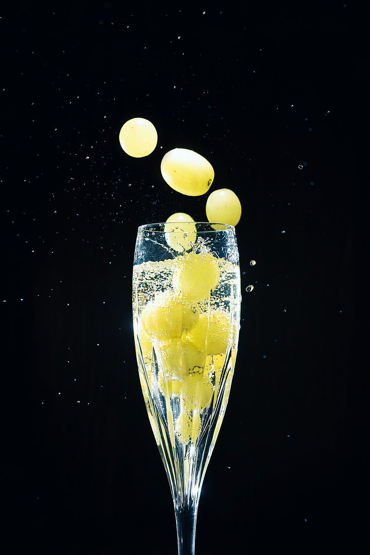 Grapes falling in glass of champagne with splash isolated on black background