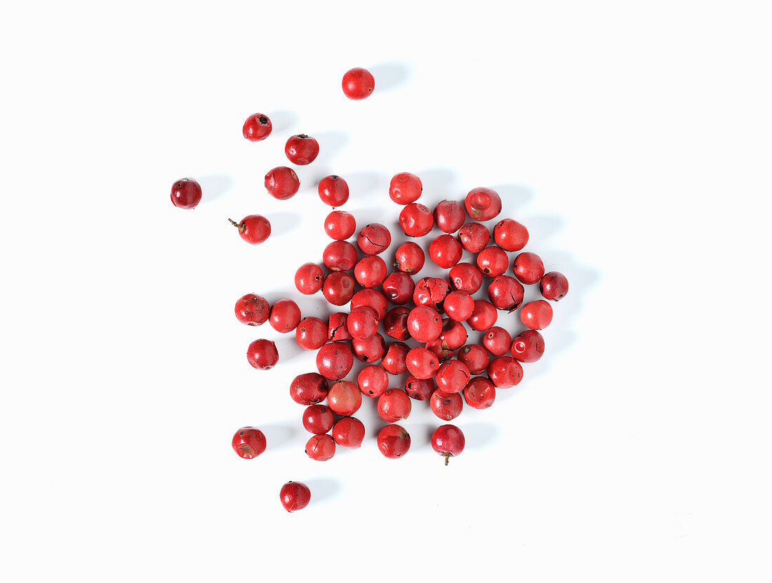 Red pepper berries on a white background