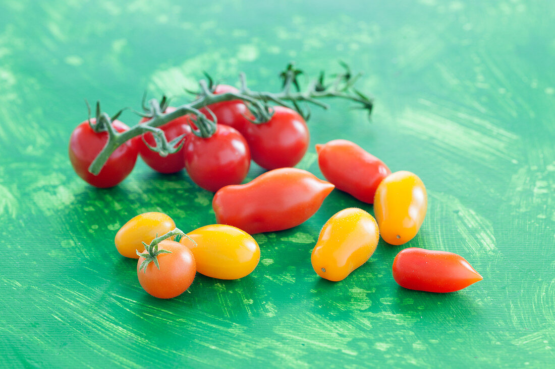 Verschiedene rote und gelbe Tomaten