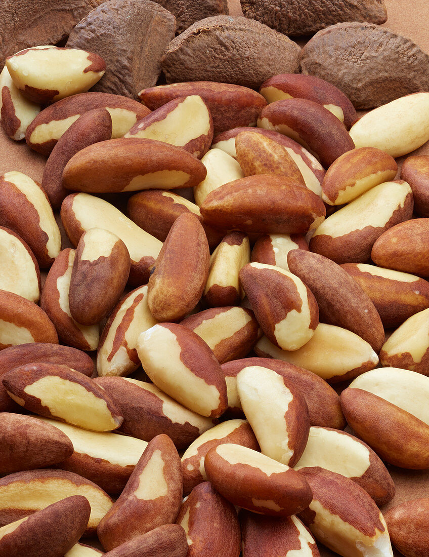 Brazil nuts with and without shells (filling the picture)