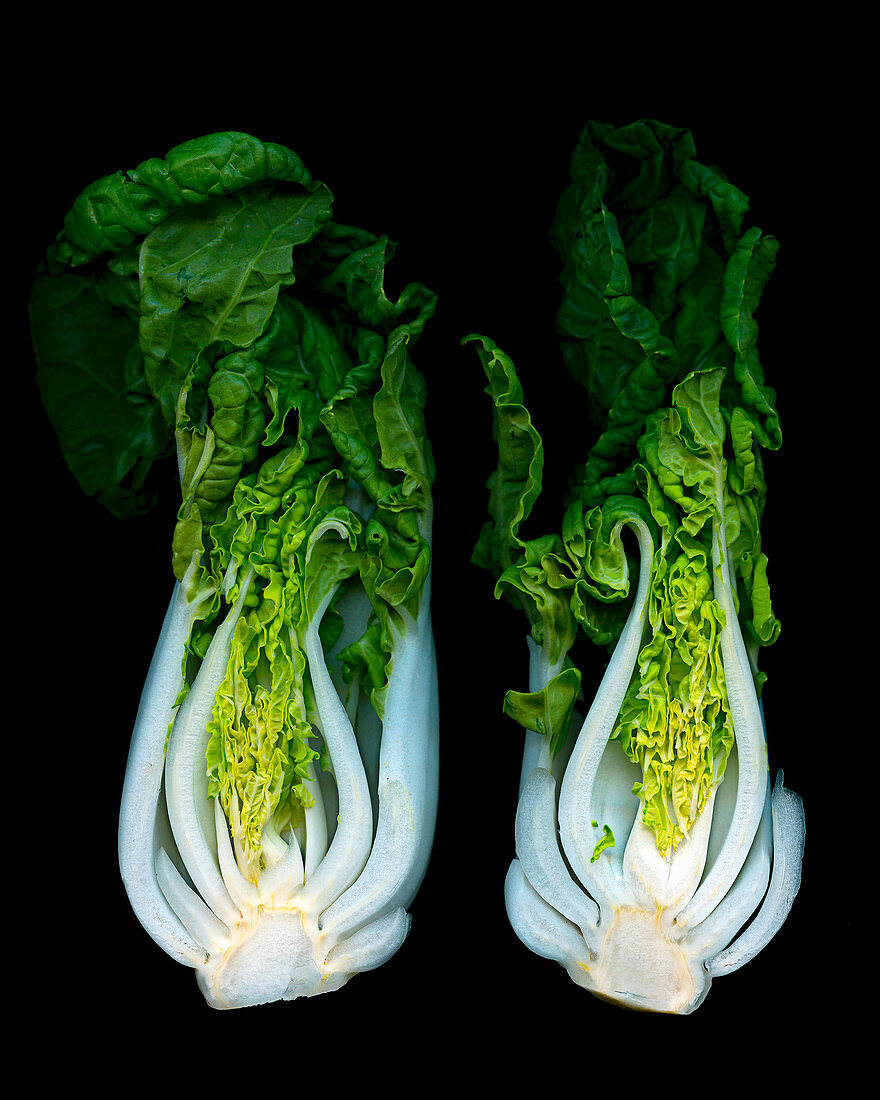 Two bok choy against a black background