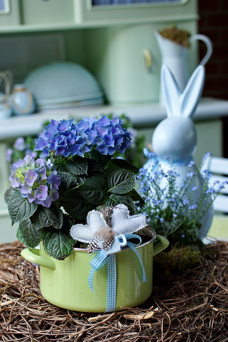 Hydrangea in old enamel saucepan decorated as gift with hand-sewn fabric hearts and ribbon