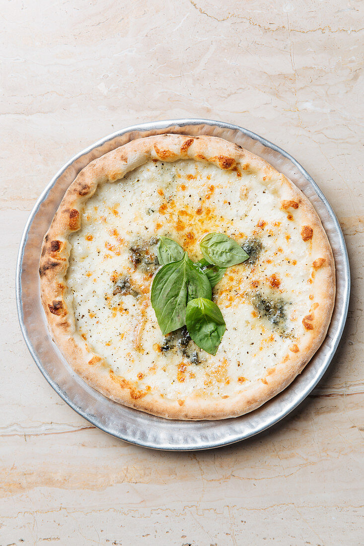 Baked pizza served with cheese and basil herbs on table