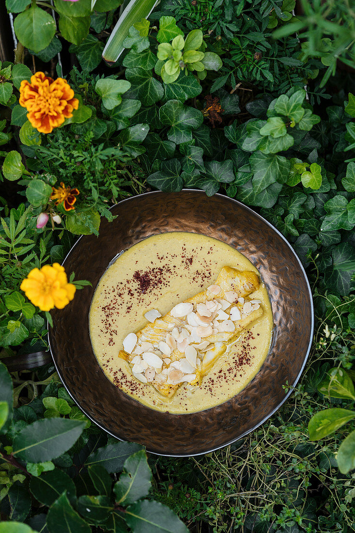 Chicken fillet with mushrooms in cheesy sauce in bowl