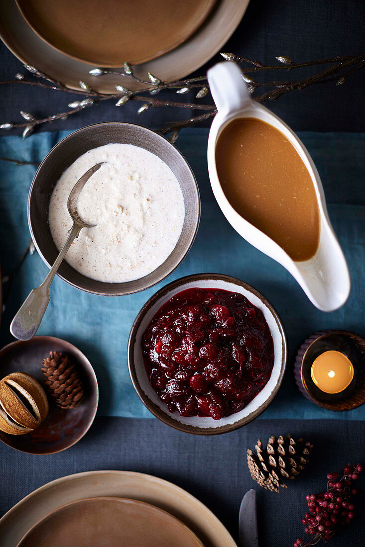 Weihnachtliche Beilagen (Brotsauce, Cranberrysauce, Prosecco-Wildpilz-Sauce)