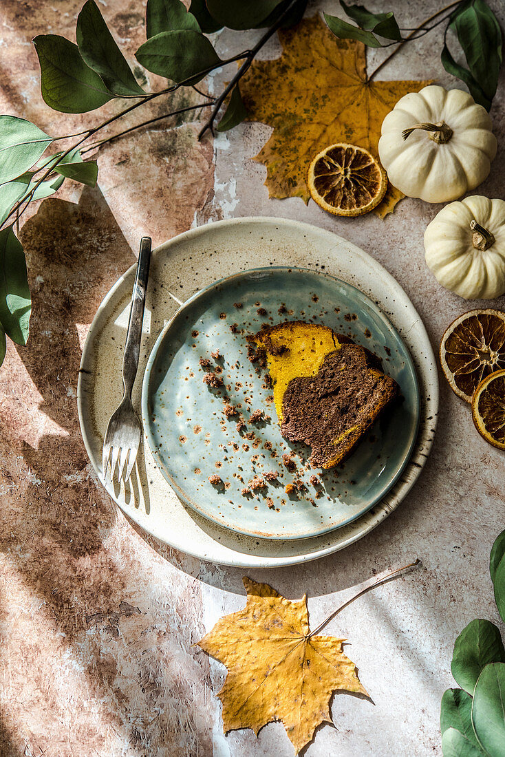 Pumpkin Cocoa Cake