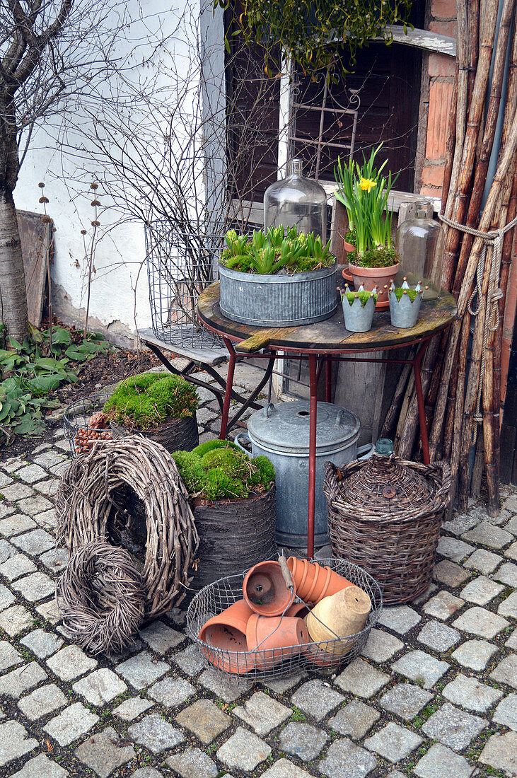 Early spring arrangement of narcissus in terracotta pots and hyacinths in zinc bowl on table in courtyard