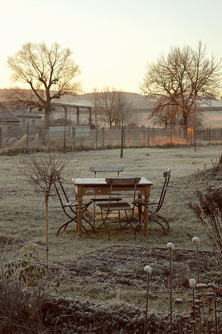 Table and chairs in wintry garden