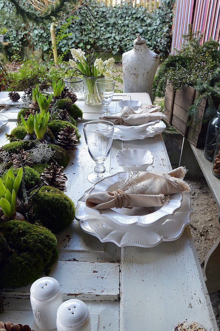 a Set table with a garland of moss with hyacinths, cones, and ragwort in the middle of the table