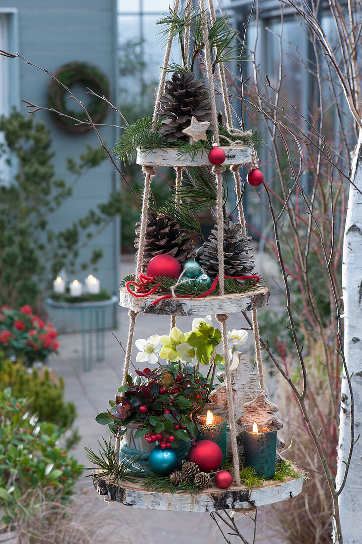 Hängende Etagere selbstgemacht mit Holzscheiben, Zapfen, Kiefernzweige, Kugeln, Christrose, Scheinbeere und Windlichter als Deko