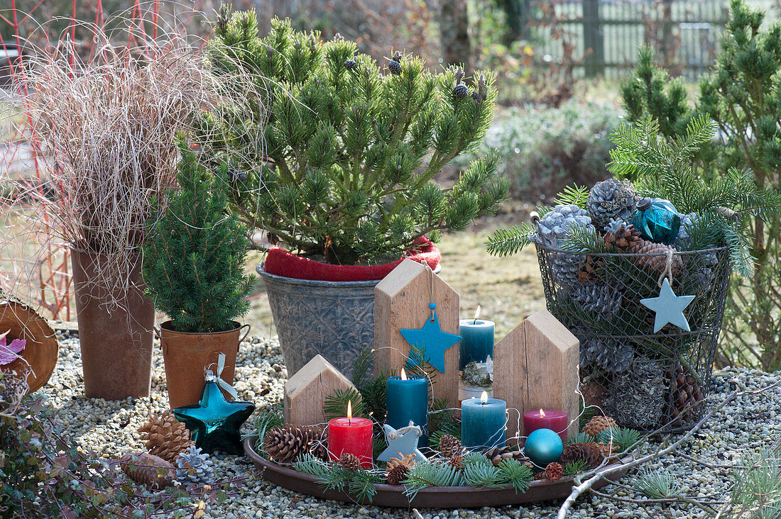 Advent decoration with candles, pieces of wood, stars, cones and pine tips on a tray, basket with cones