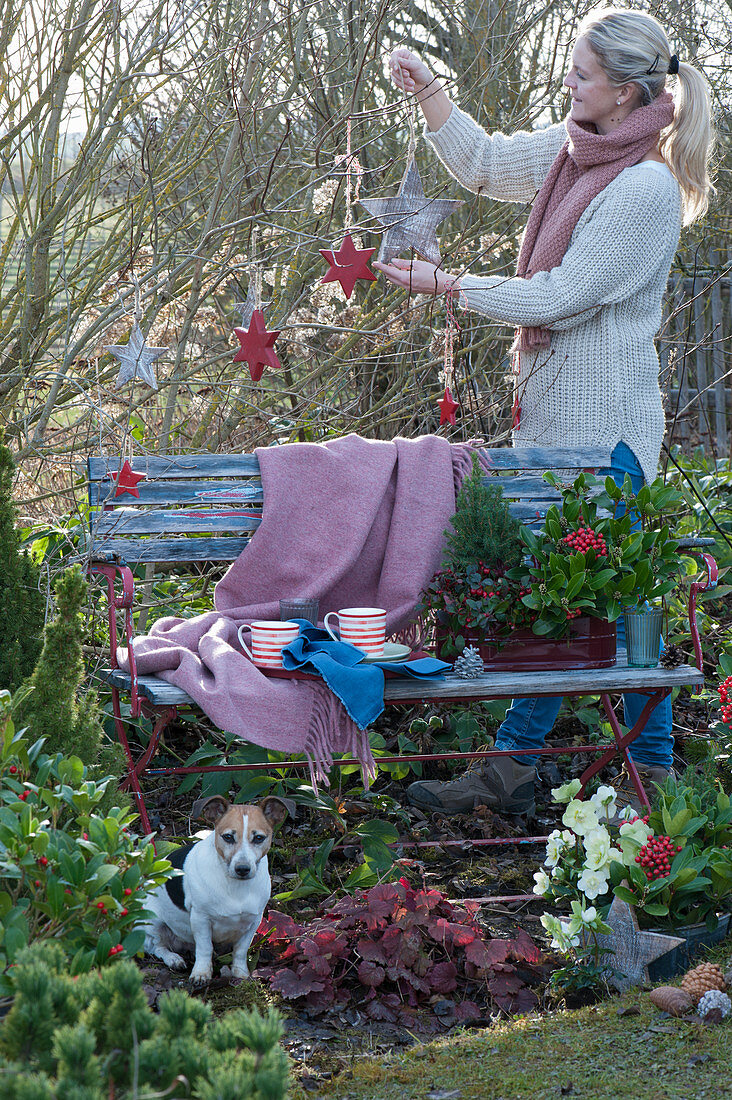 Woman decorates seat in the garden for Christmas with wooden stars, dog Zula