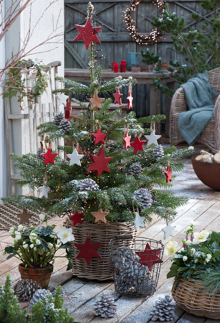 Nordmanntanne mit Holzsternen, Lichterkette und Zapfen als Weihnachtsbaum geschmückt