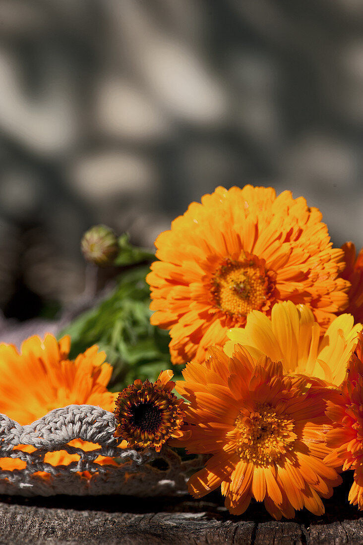 Ringelblumen auf Häkeltablett