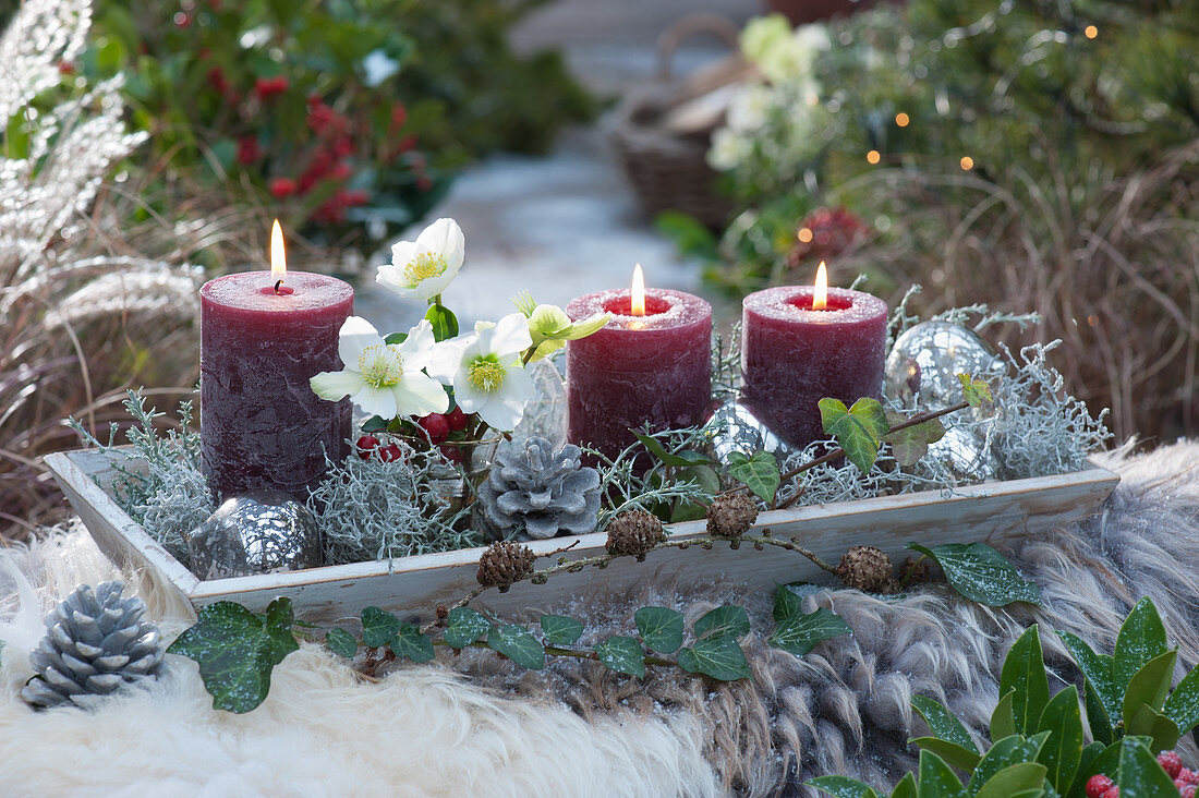 Kerzen und kleiner Strauß mit Christrose und Ilex auf Untersetzer, dekoriert mit Kugeln, Zapfen und Greiskraut