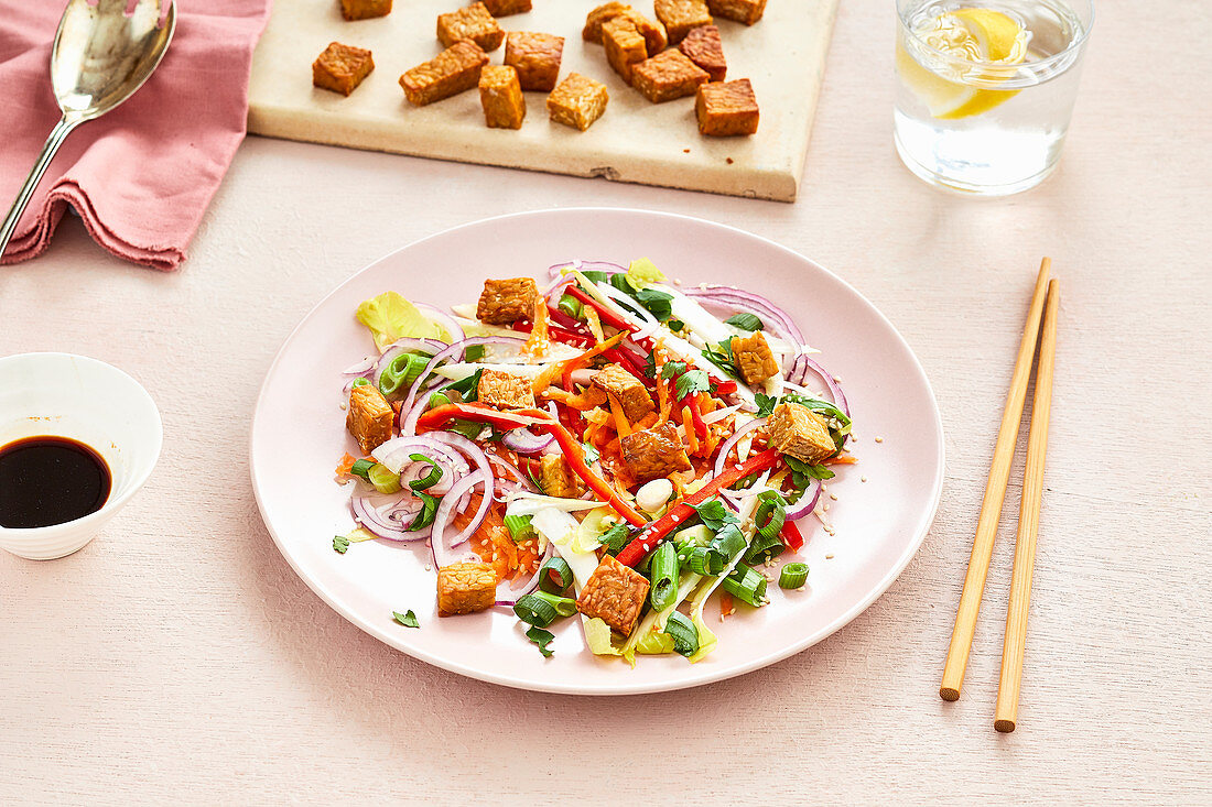 Asian roasted tempeh salad with red onion, coriander, red pepper, spring onion and grated carrot