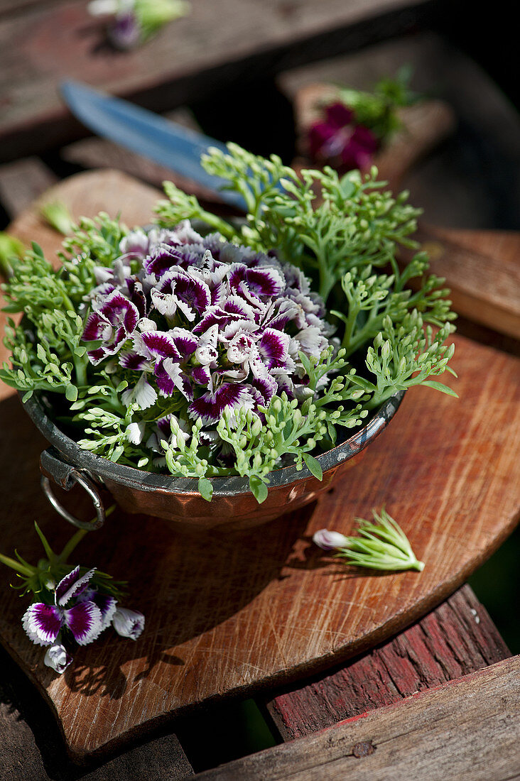 Kleine Schale mit Gesteck aus Bartnelke und Fetthenne