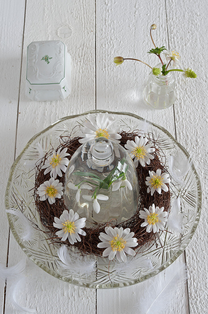 Kranz mit Anemonen in geschliffener Glasschale mit Glasglocke