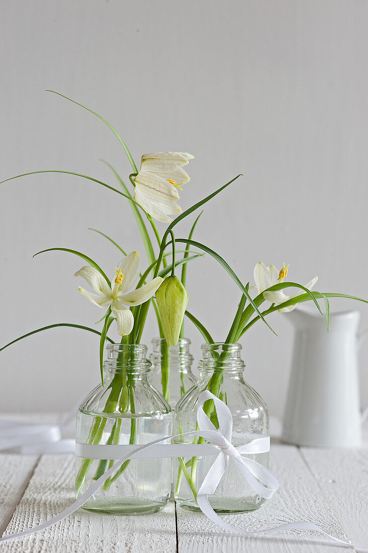 Weiße Schachbrettblumen in zusammengebundenen Glasfläschchen