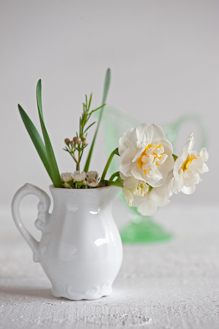 Narzissen und Australische Wachsblumen in einem Milchkännchen