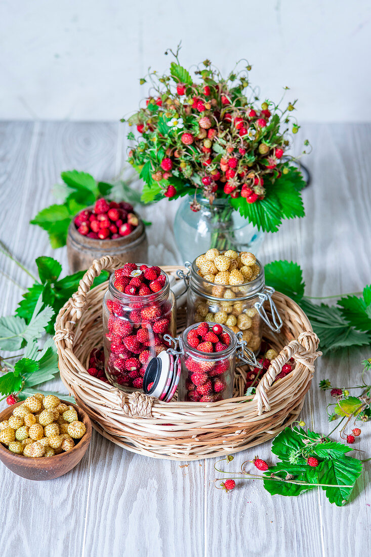 Fresh wild strawberries in glasses and strawberry bouquets