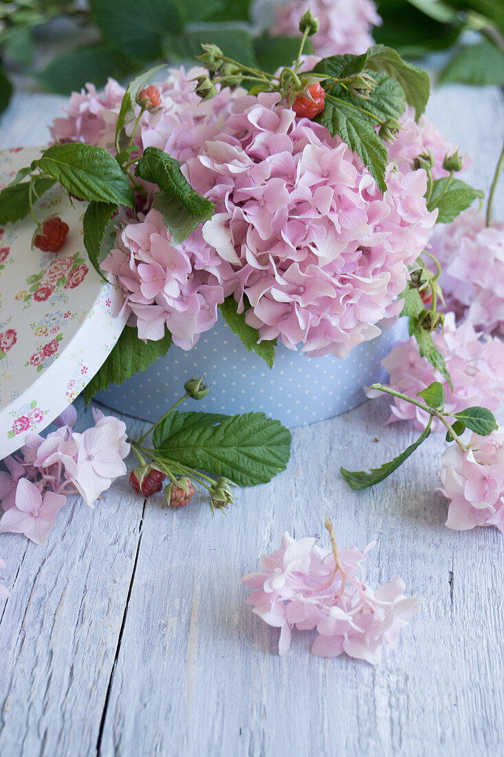 Hydrangea blossoms and raspberry branches in a nostalgic paper box