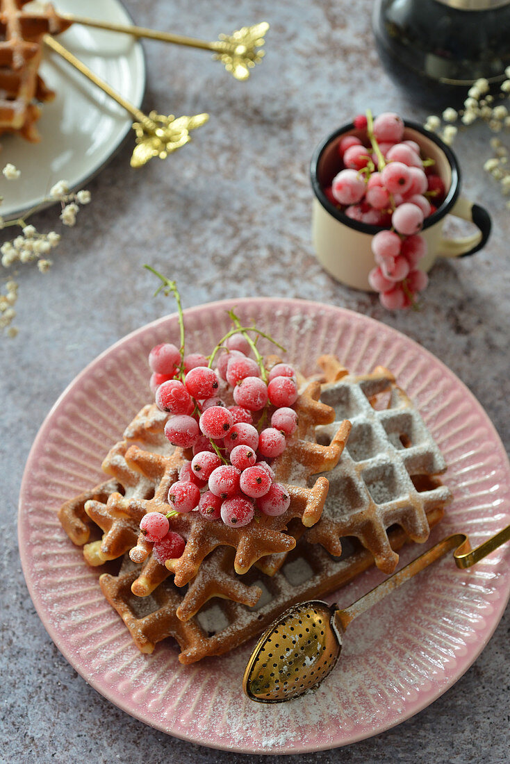 Waffles on a plate with frozen fruits Frozen currants on waffles