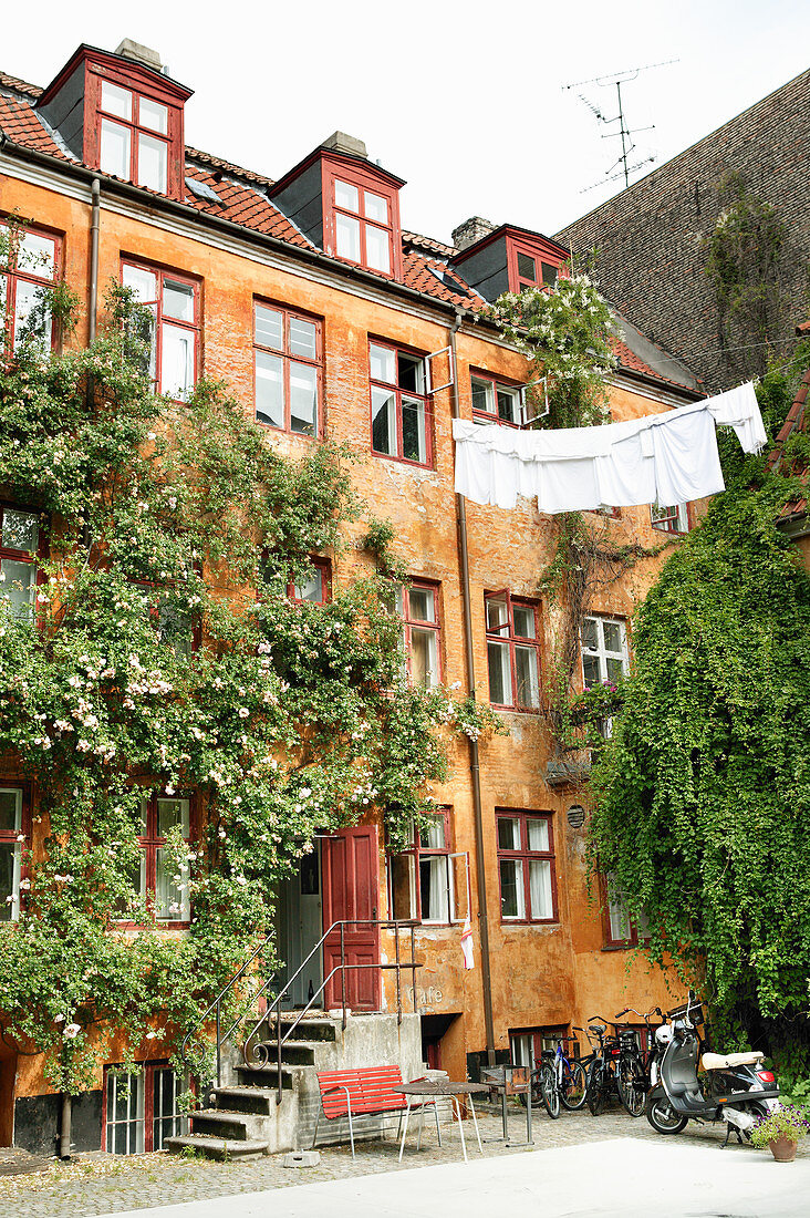 Wäscheleine und Rosenranken am gelben Altbau mit Innenhof