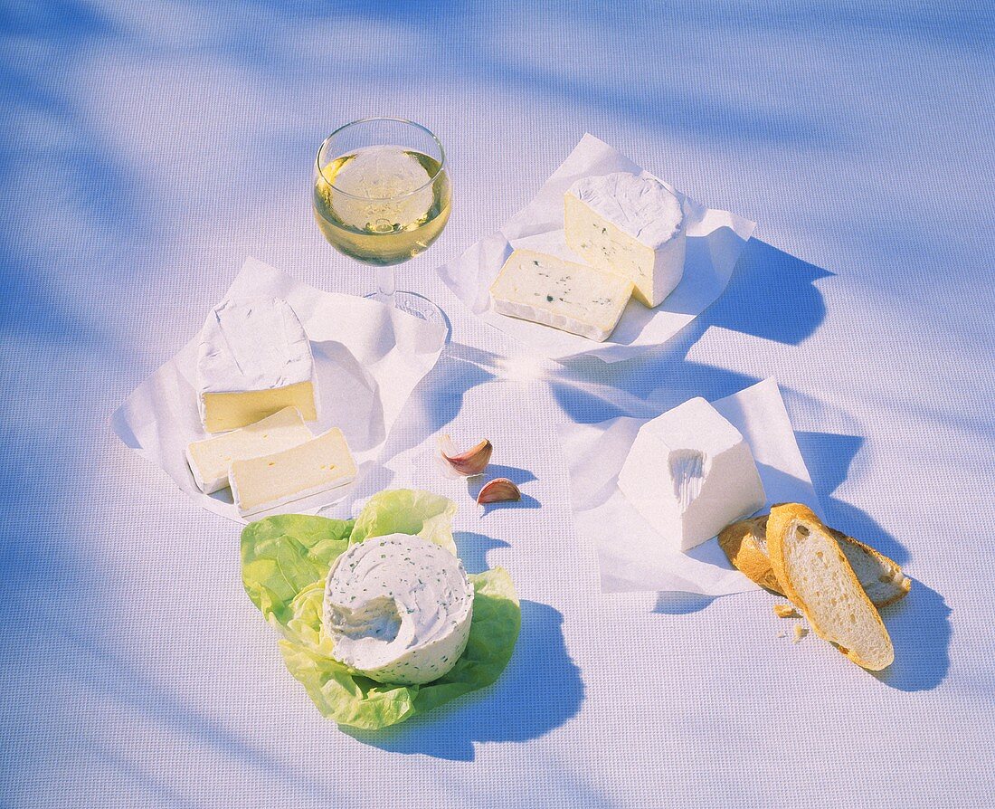 Still life with soft cheese, Camembert, blue cheese, ricotta
