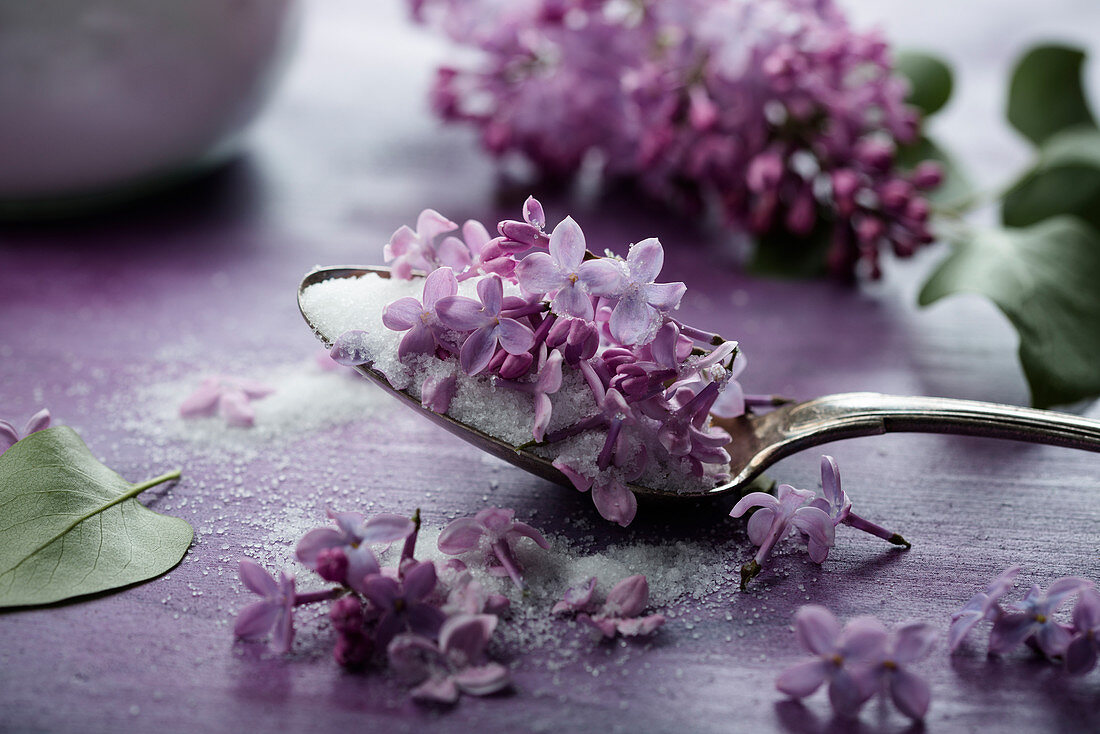 Zucker und Fliederblüten auf Löffel