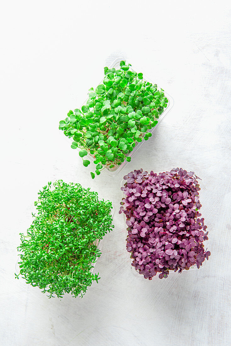 Microgreens