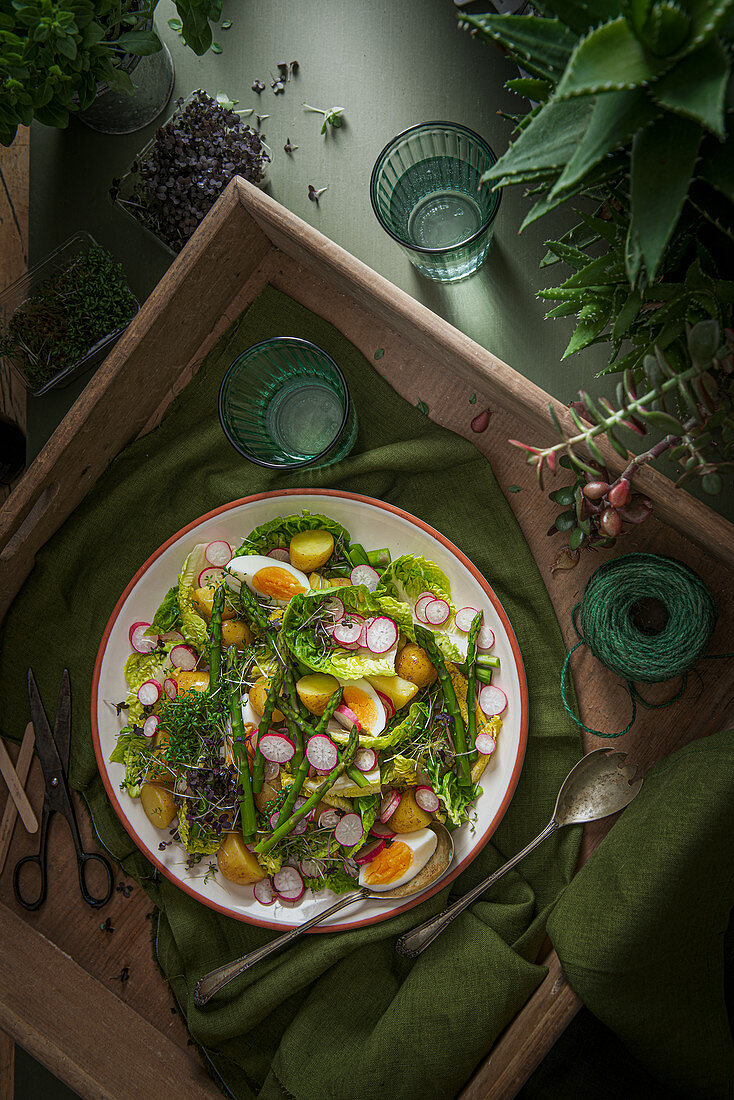 Spring salad with eggs, asparagus, new potatoes, radish, microgreens and little gem lettuce