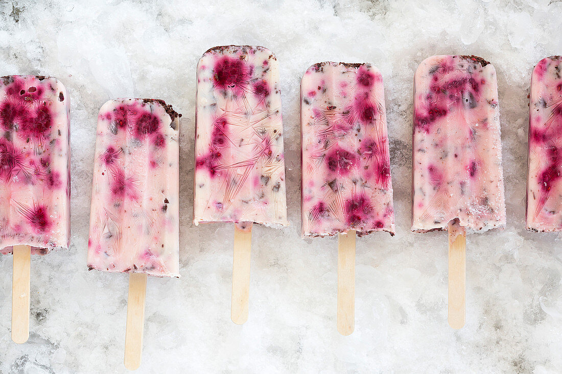 Raspberry and Chocolate Yoghurt Ice Blocks