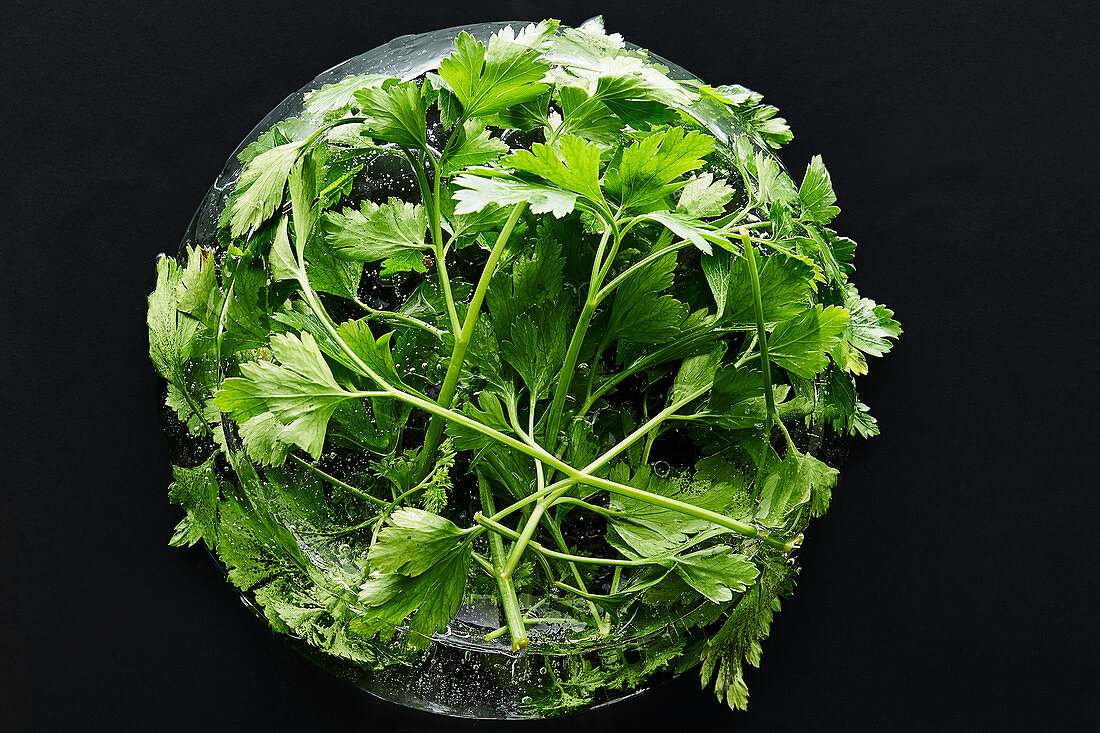 A ball of parsley