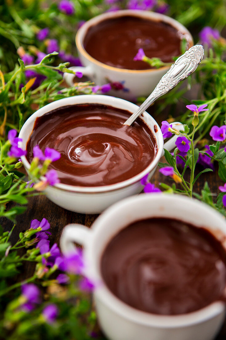 Home-made chocolate pudding