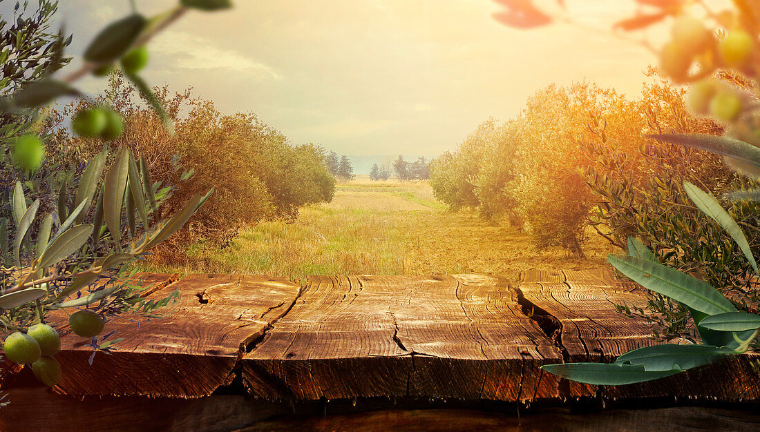 Blick über Holztisch im Olivenhain