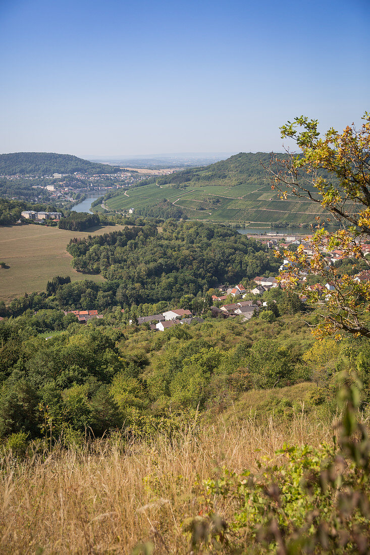 Weinwanderung, Blick auf Apach, Frankreich (Dreiländereck)