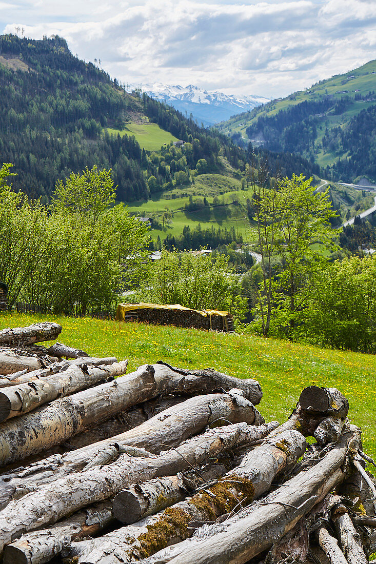 Logs at Goldegg am See, Pongau, Salzburger Land, Austria