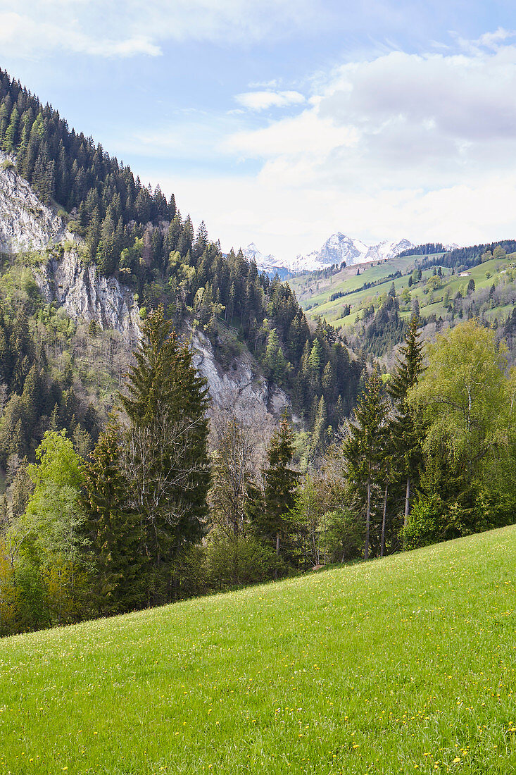 Goldegg am See, Pongau, Salzburger Land, Austria