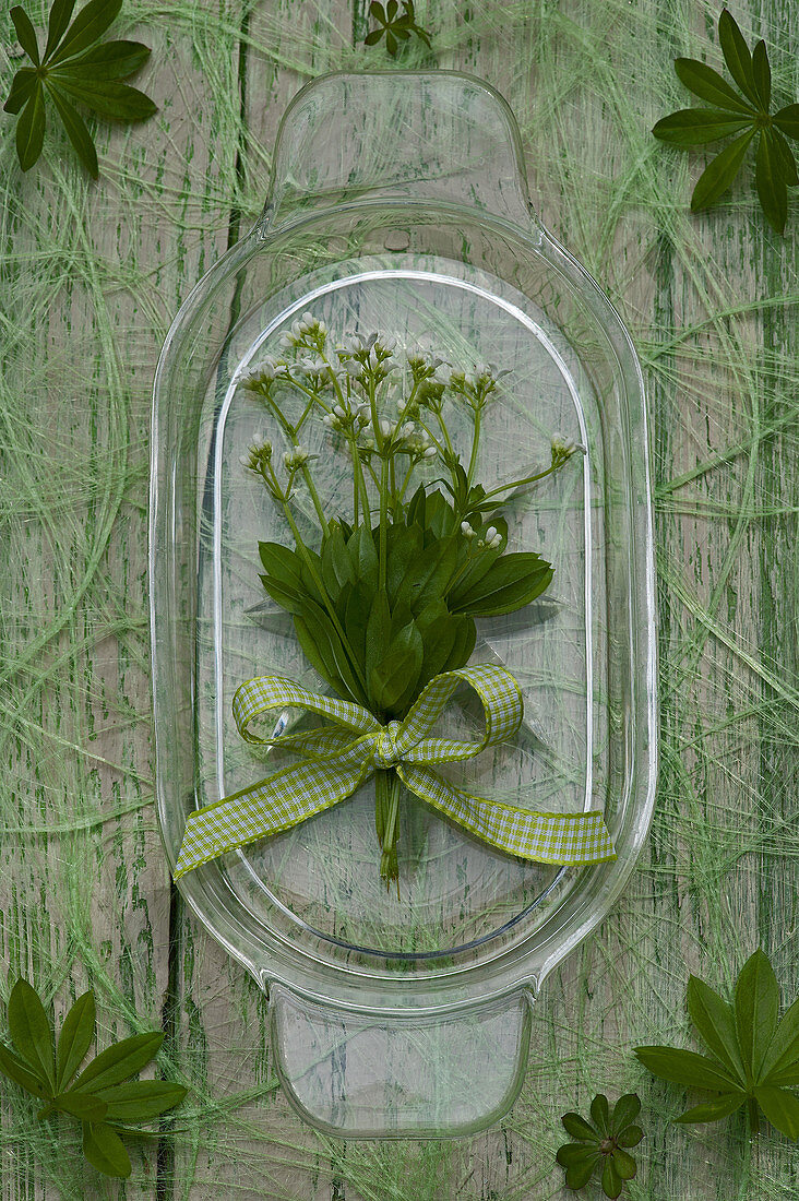 Sträusschen aus Waldmeisterblüten mit grüner Schleife auf Glasteller